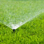 Automatic Sprinklers in Action