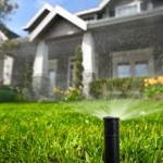 Automatic Sprinklers in Action